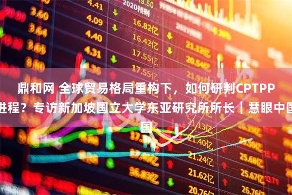 鼎和网 全球贸易格局重构下，如何研判CPTPP进程？专访新加坡国立大学东亚研究所所长｜慧眼中国