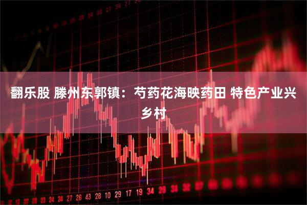 翻乐股 滕州东郭镇：芍药花海映药田 特色产业兴乡村